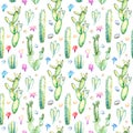 Seamless pattern of a cactus and sikkulent.