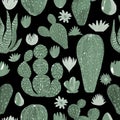 Seamless Pattern Cactuses hand-painted illustration on black background Exotic desert plant. Inroom plant for home decor