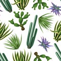 Seamless pattern with cactuses and succulents set. Plants of desert Royalty Free Stock Photo