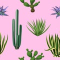 Seamless pattern with cactuses and succulents set. Plants of desert Royalty Free Stock Photo
