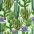 Seamless pattern with cactuses and succulents set. Plants of desert Royalty Free Stock Photo