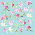 Seamless pattern of camelia flower