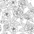 Seamless pattern with Camellia flowers. Black and white Camellia and rose flower collection