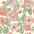 Seamless pattern with Camellia flowers. Pastel peach palette flower collection.