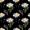 Seamless pattern with camomile flowers on black