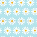 Seamless Pattern With Camomile Flowers On Blue Background Beautiful Floral Ornament