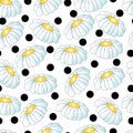 Seamless pattern, camomiles with black peas. Royalty Free Stock Photo