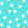 Seamless pattern with camomiles Royalty Free Stock Photo