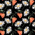 Seamless pattern with camomiles and poppies, black