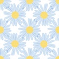 Seamless pattern - camomiles on white background Royalty Free Stock Photo