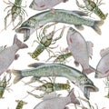 Seamless pattern with canser and fish. Crucian. Pike. Royalty Free Stock Photo