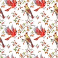 Seamless pattern of cardinals birds and branches of wild rose with fruits