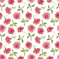 Seamless pattern of carnation and dahlia flowers