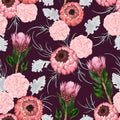 Seamless pattern with carnation, dusty miller, protea flowers, leaves and buds. Royalty Free Stock Photo