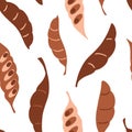 Seamless pattern with carob or cocoa beans