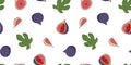 Seamless pattern cartoon fig set. Background of tropical fig fruit whole half and slice. Vector illustration Royalty Free Stock Photo