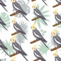 Seamless pattern with cartoon grey cockatiels sitting on branches. Flat little colorful exotic Australian love parrots Royalty Free Stock Photo