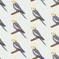 Seamless pattern with cartoon grey cockatiels sitting on branches. Flat little colorful exotic Australian parrots Royalty Free Stock Photo