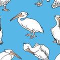 Seamless pattern of cartoon pelicans