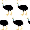 Seamless pattern with cassowary.Cute cartoon character. Australian bird Royalty Free Stock Photo