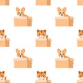 Seamless pattern of a cat and a dog in a box, adoption