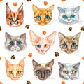 Seamless pattern with cat faces of different breeds of cats. Watercolor. Vector Royalty Free Stock Photo