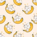 Seamless pattern cats love banana cartoon