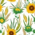 Seamless pattern with cereals and sunflowers. Barley, wheat, rye, corn and millet. Rustic floral background. Royalty Free Stock Photo