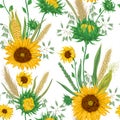 Seamless pattern with cereals and sunflowers. Barley, wheat, rye, corn and oat. Royalty Free Stock Photo