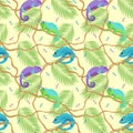 Seamless pattern of chameleons of different types and various varieties of coloring sitting on lianas, vector