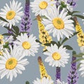 Seamless pattern with chamomile camomile, leaves, and lupines flowers.