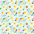 Seamless pattern with chamomile flowers and ladybirds, summer ba Royalty Free Stock Photo