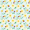 Seamless pattern with chamomile flowers and ladybirds, summer ba Royalty Free Stock Photo