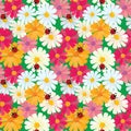 Seamless pattern with chamomile flowers and ladybirds, summer ba