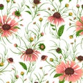 Seamless pattern with chamomile flowers. Rustic floral background.