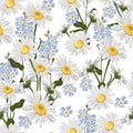 Seamless pattern with chamomiles and forget-me-not flowers couple.