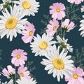 Seamless pattern with chamomiles and wild pink autumn flowers with leaves. Royalty Free Stock Photo