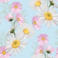 Seamless pattern with chamomiles and wild pink autumn flowers. Royalty Free Stock Photo
