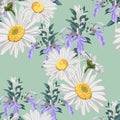 Seamless pattern with chamomiles and wild violet flowers.