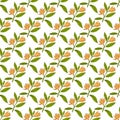 Seamless pattern with champak magnolia champaca