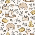 Seamless pattern with cheese of different types - ricotta, camembert, gorgonzola maasdam. Backdrop with various