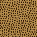 seamless pattern with cheetah skin Royalty Free Stock Photo