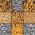 Seamless pattern with cheetah skin. vector background. Colorful zebra and tiger, leopard and giraffe exotic animal print Royalty Free Stock Photo