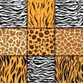 Seamless pattern with cheetah skin. vector background. Colorful zebra and tiger, leopard and giraffe exotic animal print Royalty Free Stock Photo