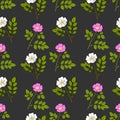 Seamless pattern with cherokee rose and wild prairie rose