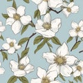 Seamless pattern with cherokee roses