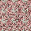 Seamless pattern with cherry blossom flowers. illustration. Royalty Free Stock Photo