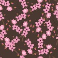 Seamless pattern with cherry blossom pink flowers on brown