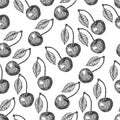 Seamless pattern. Cherry sketch. Fruits vector illustration. hand drawn. Royalty Free Stock Photo
