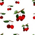 Seamless pattern with cherry Stock illustration, vector, hand drawing, design element  for printing, scrapbooking, postcard Royalty Free Stock Photo